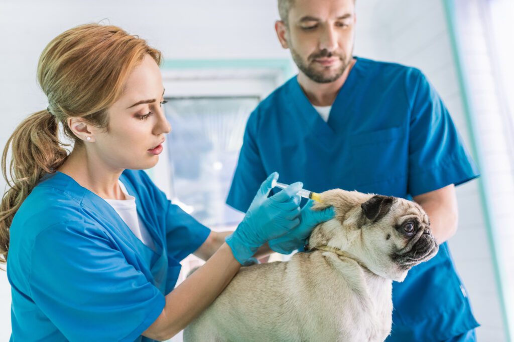 vaccination for pets