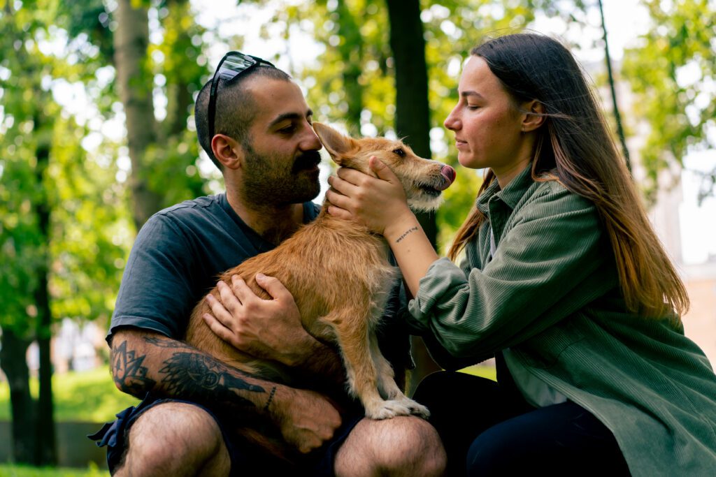 Dog chip tracker couple finds dog
