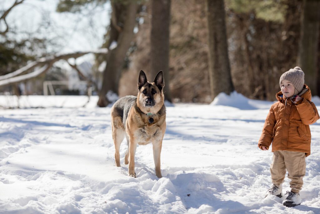 Winter and cold weather for dogs