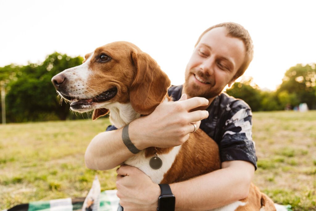 Pet microchips help lost cats and dogs return home safely