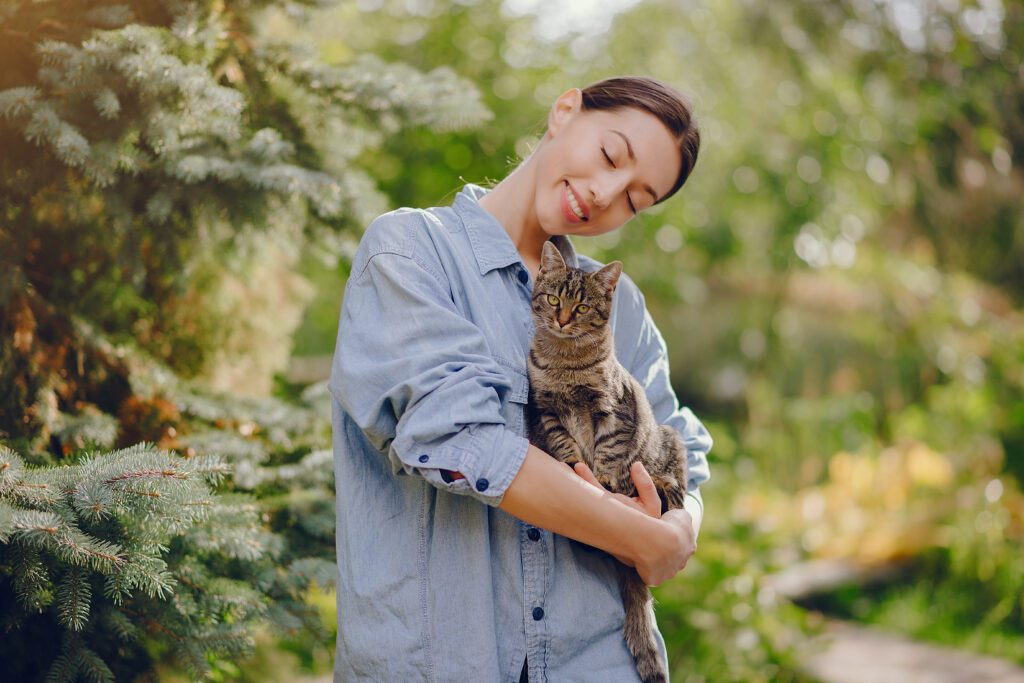 Microchipped cat found